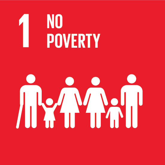 UNITED NATIONS SUSTAINABLE DEVELOPMENT GOALS (SDG)